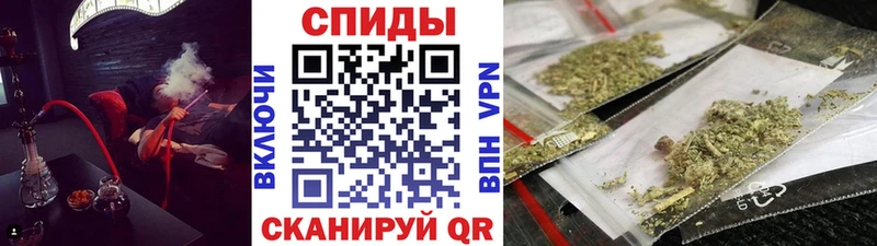 БУТИРАТ оксана  OMG зеркало  Пошехонье 
