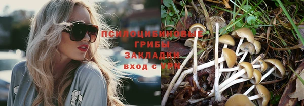 ПСИЛОЦИБИНОВЫЕ ГРИБЫ Алзамай