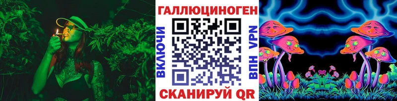 shop Telegram  Пошехонье  Галлюциногенные грибы Psilocybine cubensis 